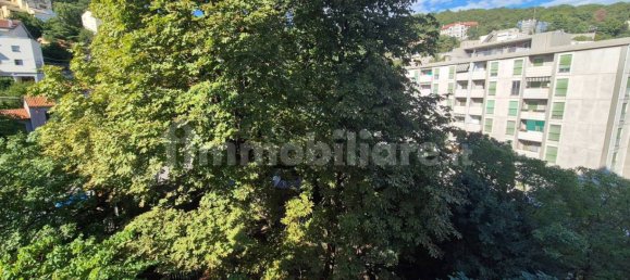 3 chambres Appartement à Trieste, Italy No. 272702 34