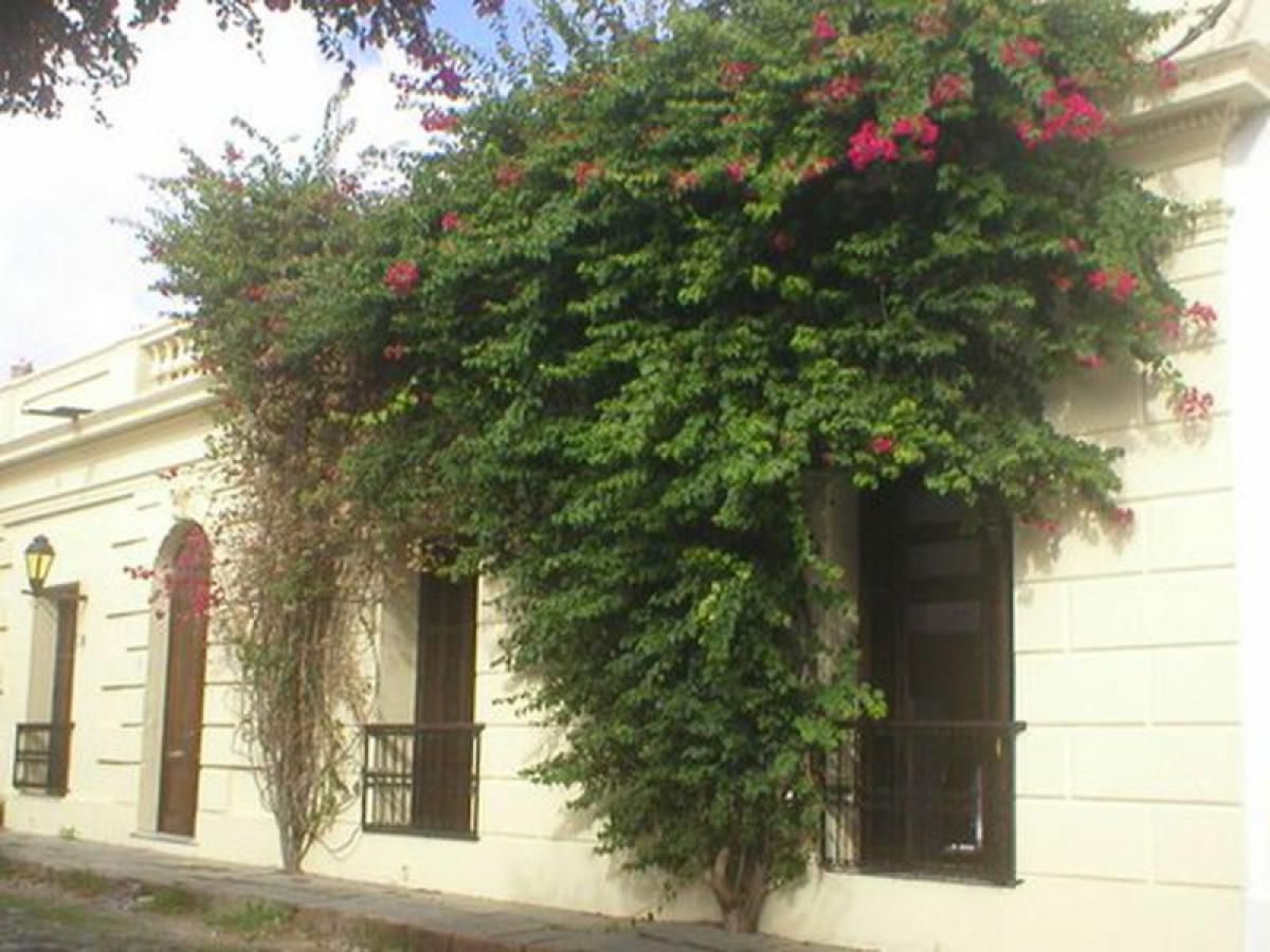 3 bedrooms House in Colonia, Uruguay No. 12063