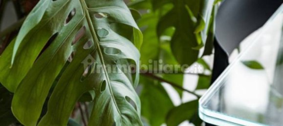 2 bedrooms Apartment in Mantua, Italy No. 323477 14