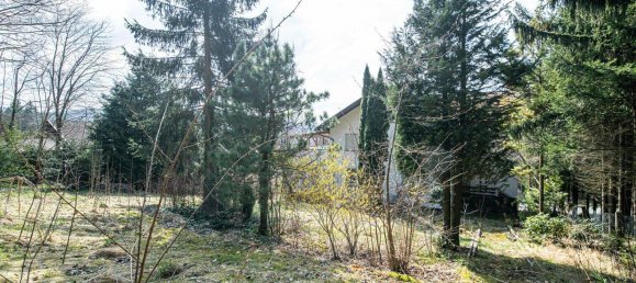 7 bedrooms Townhouse in Cham, Germany No. 175691 9