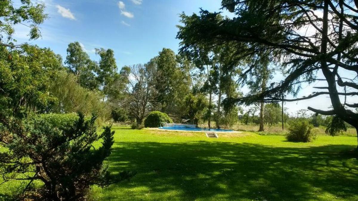 4 bedrooms House in Buenos Aires, Argentina No. 82086