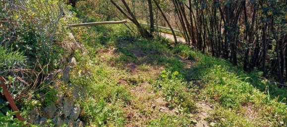 4-Zimmer Haus in Catanzaro, Italy, Nr. 41985 19