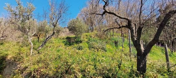 4-Zimmer Haus in Catanzaro, Italy, Nr. 41985 18