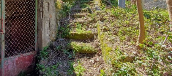 4-Zimmer Haus in Catanzaro, Italy, Nr. 41985 4