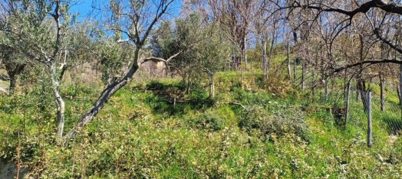 4-Zimmer Haus in Catanzaro, Italy, Nr. 41985 17