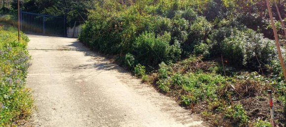 4-Zimmer Haus in Catanzaro, Italy, Nr. 41985 3