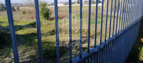  Land in Palmela, Portugal No. 161022 4