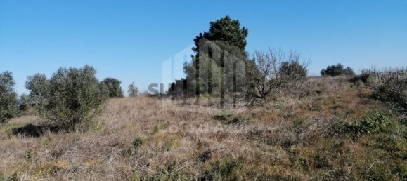  Land in Palmela, Portugal No. 161022 12