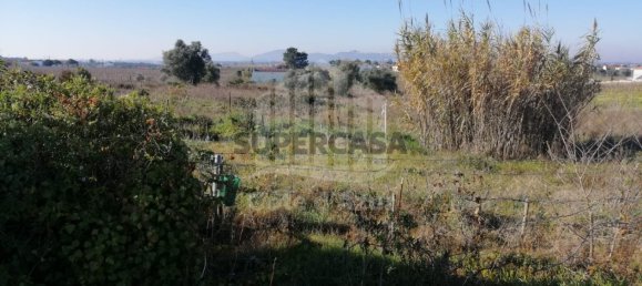  Land in Palmela, Portugal No. 161022 9