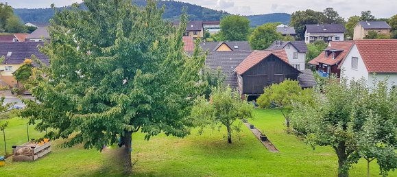 5-Zimmer Haus in Odenwaldkreis, Germany, Nr. 16772 8