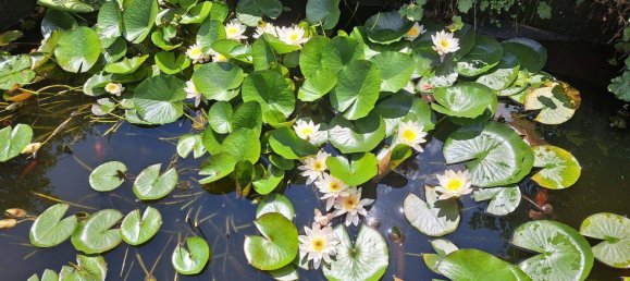 Дом с 4 комнатами в Кам, Германия № 239310 38