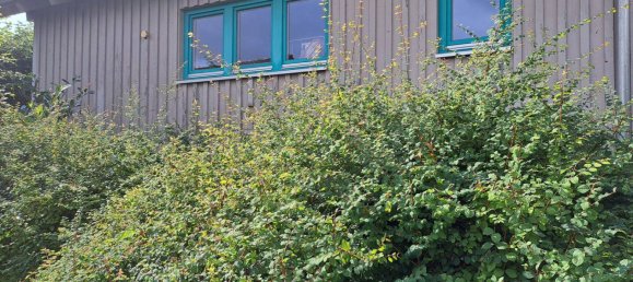 Дом с 4 комнатами в Кам, Германия № 239310 3