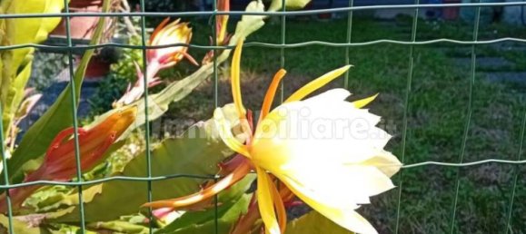 5 bedrooms Apartment in La Spezia, Italy No. 261809 29