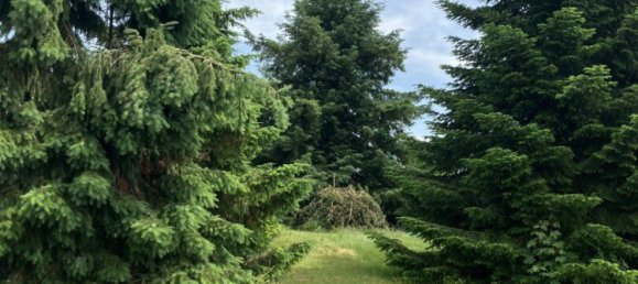 Земельный участок 1607м² в Занкт Георген ам Ленгзе, Австрия № 126925 3