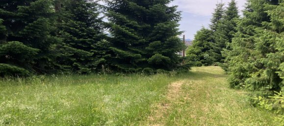 Земельный участок 1607м² в Занкт Георген ам Ленгзе, Австрия № 126925 4