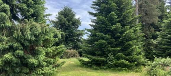 Земельный участок 1607м² в Занкт Георген ам Ленгзе, Австрия № 126925 2