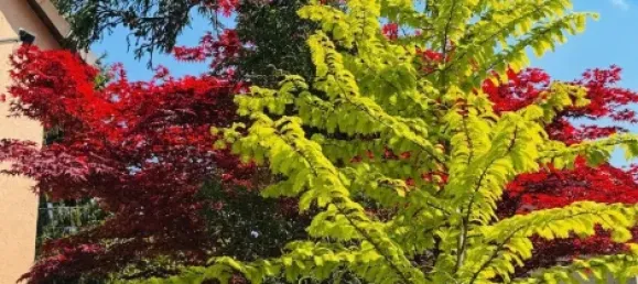 3 غرف نوم منزل في Teltow-Flaming, Germany رقم 91151 7