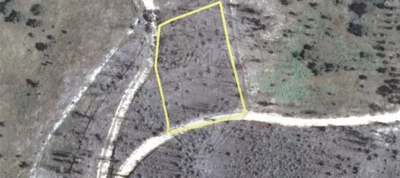 3 Schlafzimmer Haus in Belver, Portugal, Nr. 16310 30