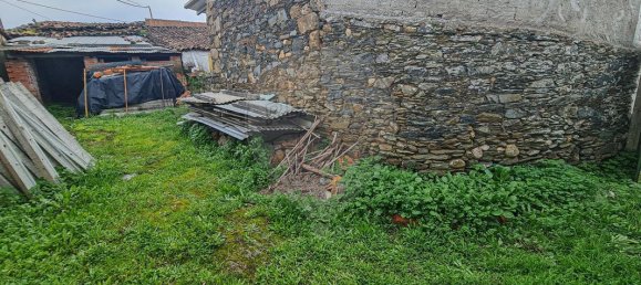 3 Schlafzimmer Haus in Belver, Portugal, Nr. 16310 18