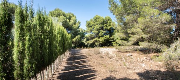  Land in Javea, Spain No. 8499 6