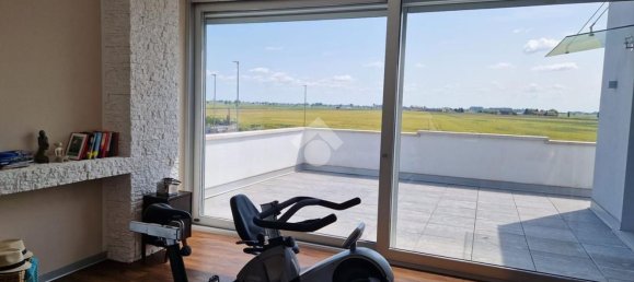 5 rooms Villa in Vescovana, Italy No. 165795 15