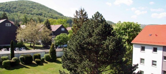 2-Zimmer Wohnung in Goslar, Germany, Nr. 294255 3