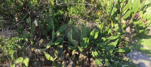 Дом с 3 спальнями в Белмонти, Португалия № 42394 40