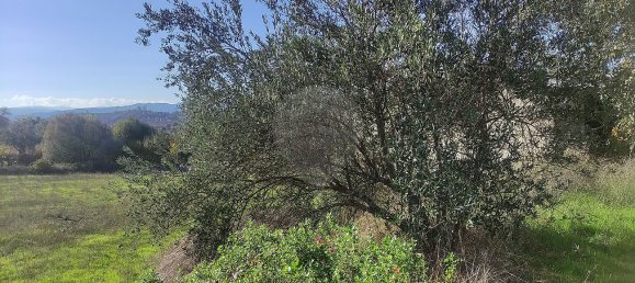 Дом с 3 спальнями в Белмонти, Португалия № 42394 35