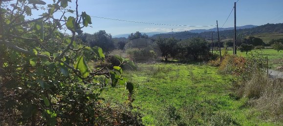 Дом с 3 спальнями в Белмонти, Португалия № 42394 41