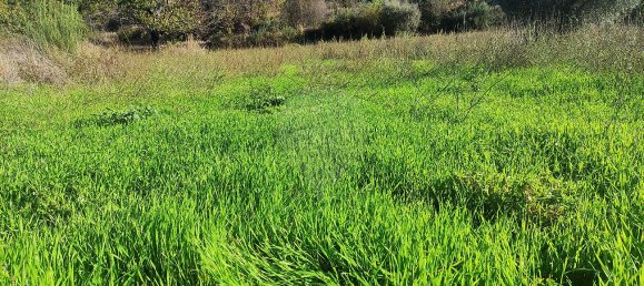 Дом с 3 спальнями в Белмонти, Португалия № 42394 33