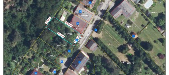 Terrain à Wiesen, Austria No. 164108 4