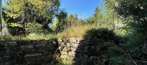 1 chambre Appartement à Karlsruhe, Germany No. 266335 11