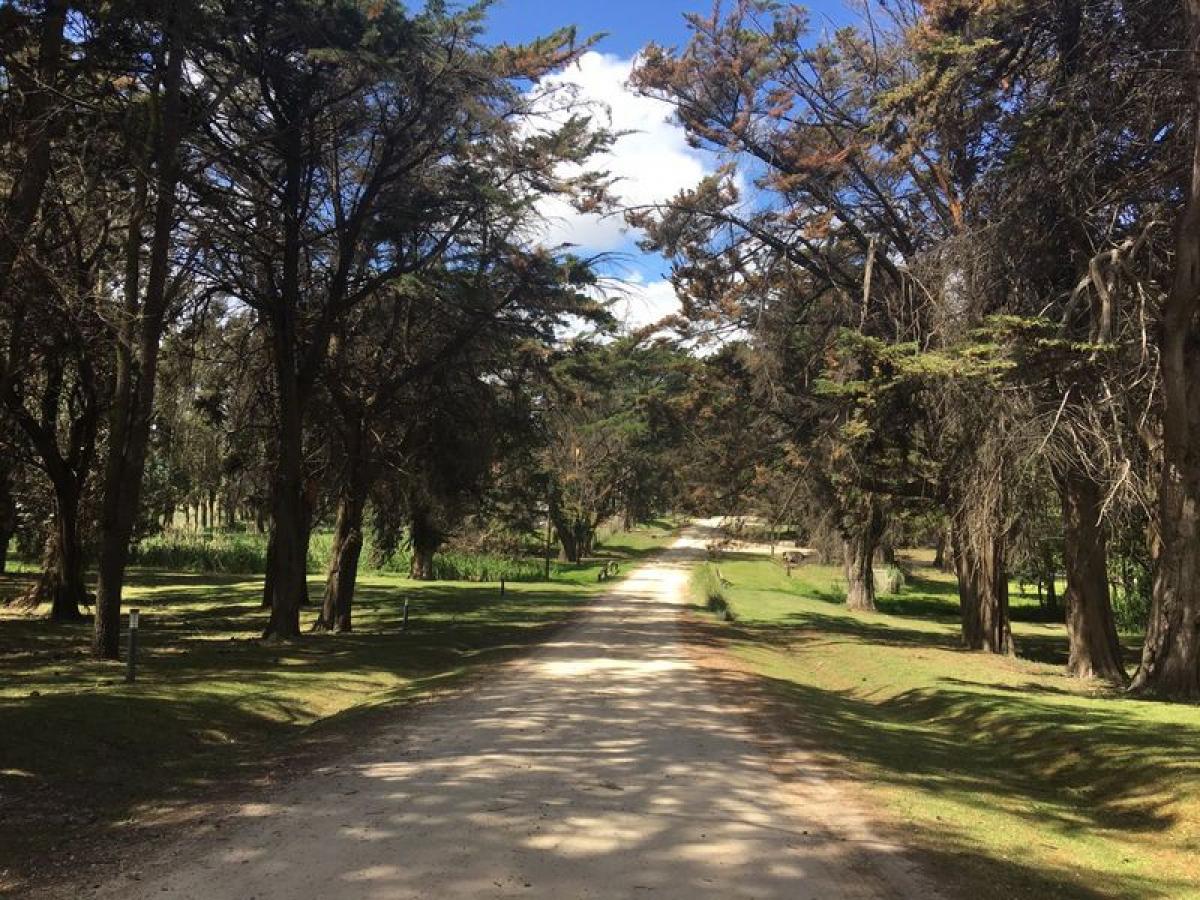  Land in Mar del Plata, Argentina No. 117920