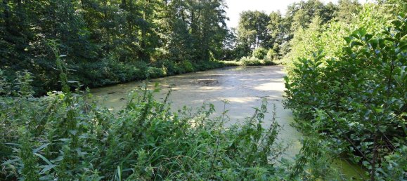 Terreno en Stormarn, Germany No. 353379 6