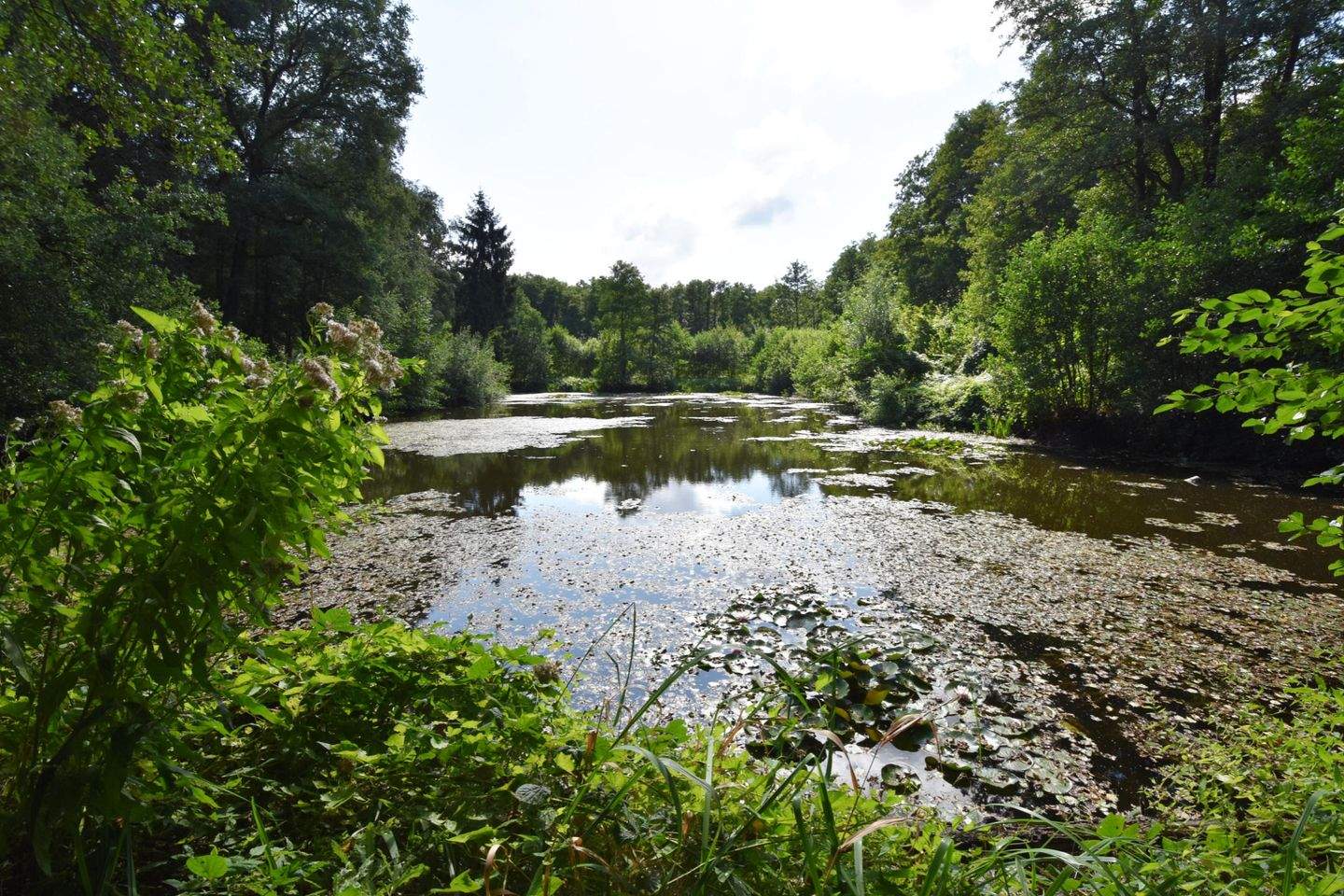 Terreno en Stormarn, Germany No. 353379