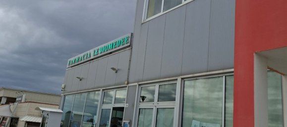 Gewerbliche Immobilie in Termoli, Italy 175m², Nr. 341830 4