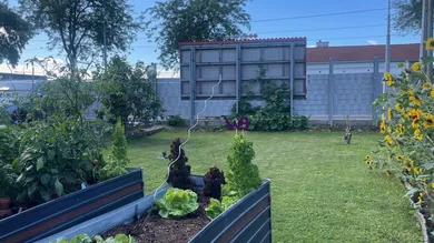 3-salle Maison à Vienna, Austria No. 211973