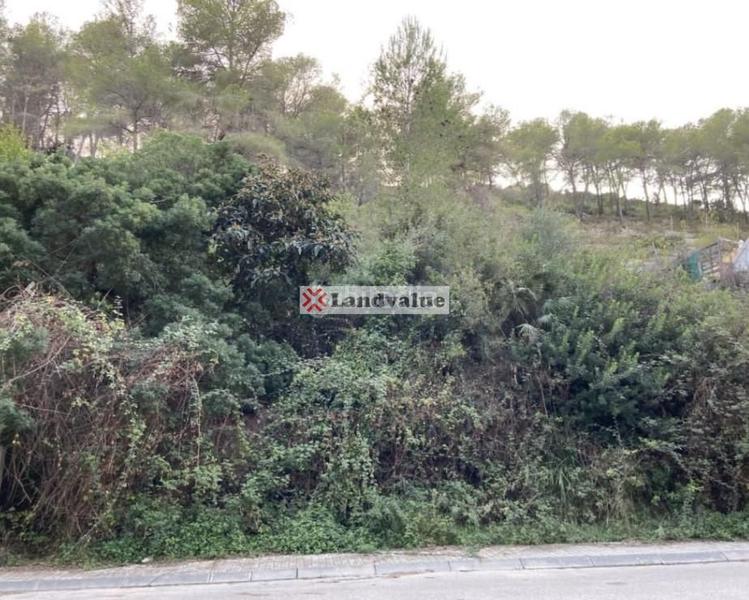 Terreno en Sant Pere de Ribes, Spain 890 m² No. 81565