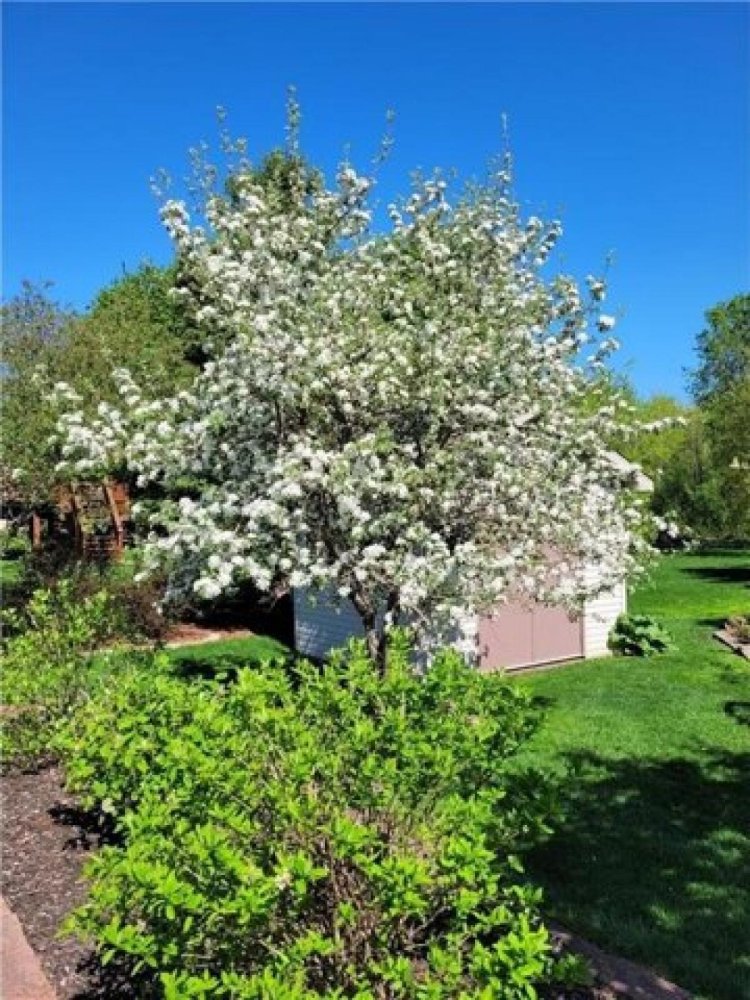 3 Schlafzimmer Haus in Blaine, USA, Nr. 396822