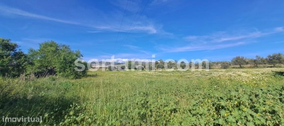 6040m² Land in Faro, Portugal No. 80657 2