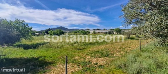 6040m² Land in Faro, Portugal No. 80657 4
