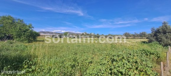 6040m² Land in Faro, Portugal No. 80657 5