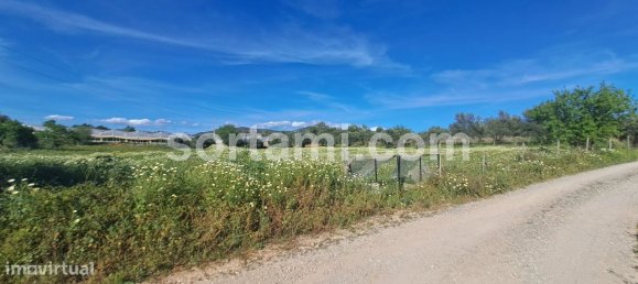 6040m² Land in Faro, Portugal No. 80657 3