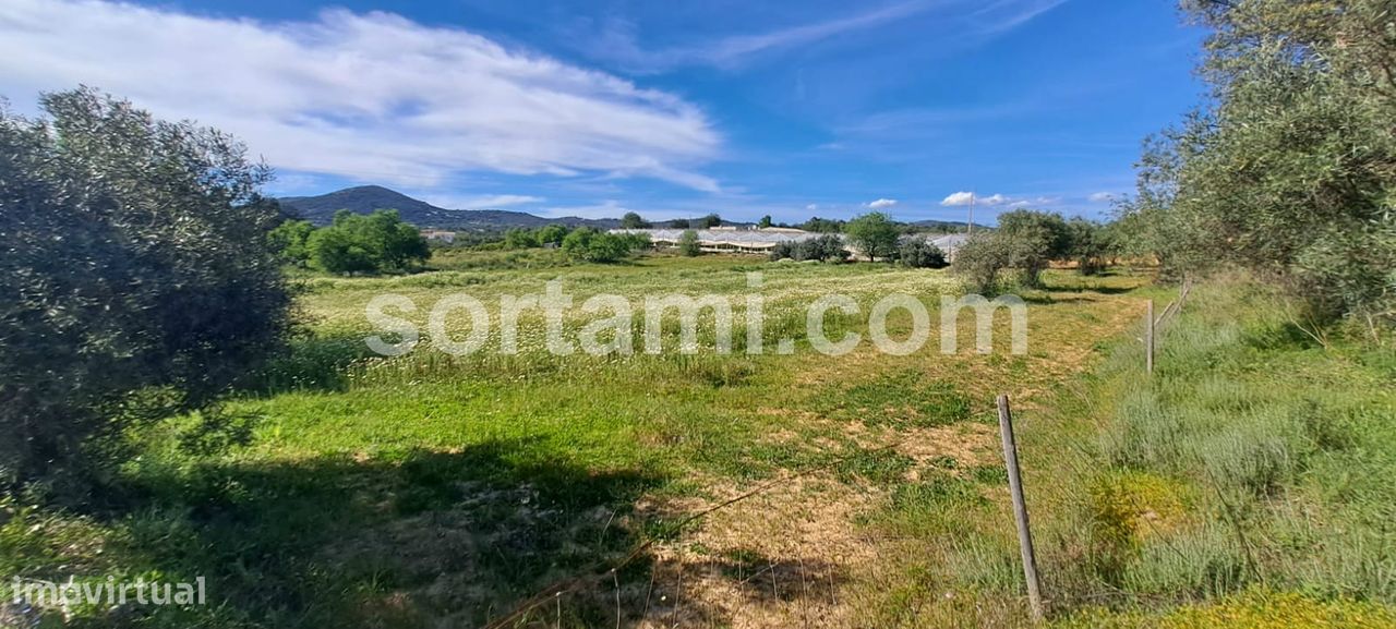 6040m² Land in Faro, Portugal No. 80657