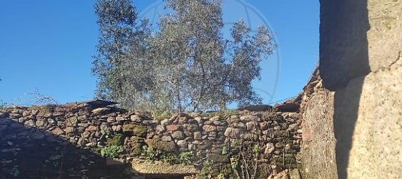 Дом с 3 спальнями в Фанзереш, Португалия № 28035 7