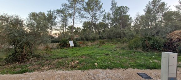 Terreno en Langlade, France No. 318304 2