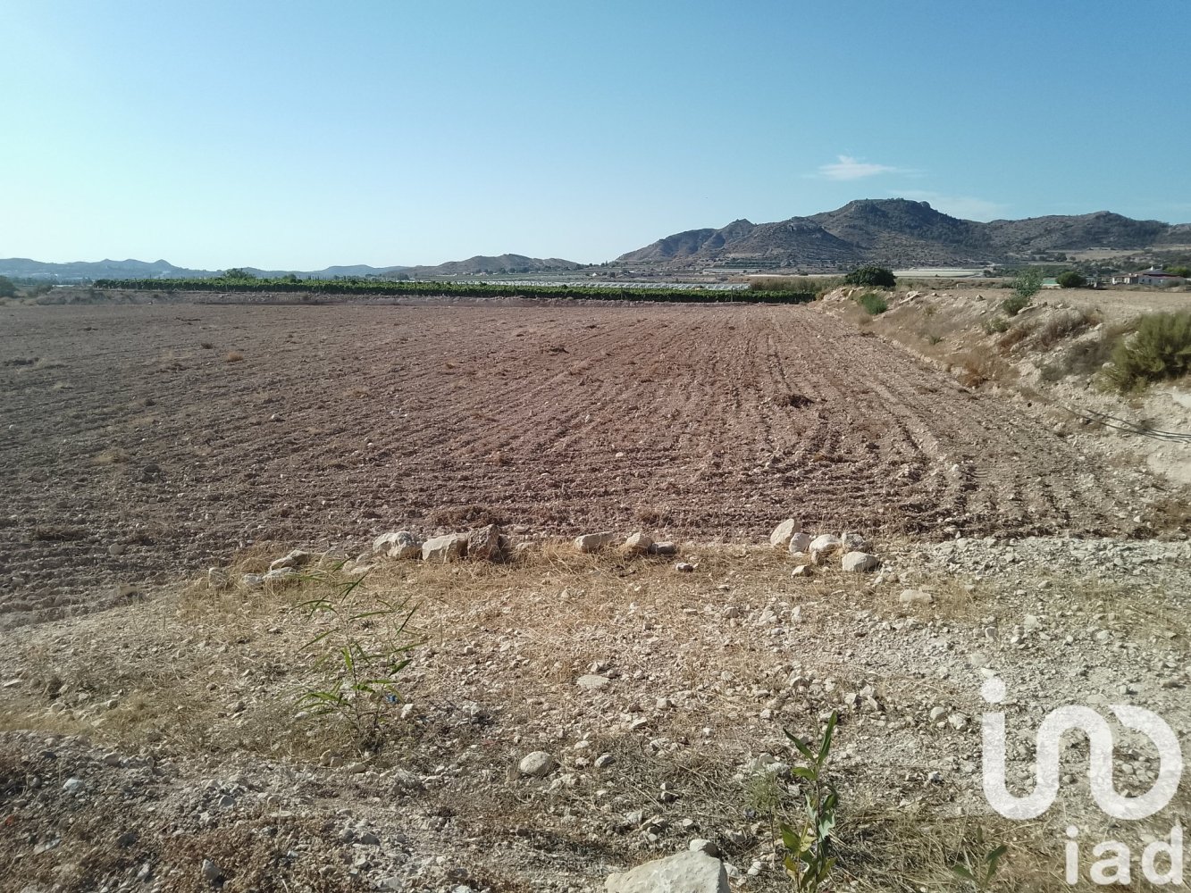 Grundstück in Novelda, Spain 120000m², Nr. 292636