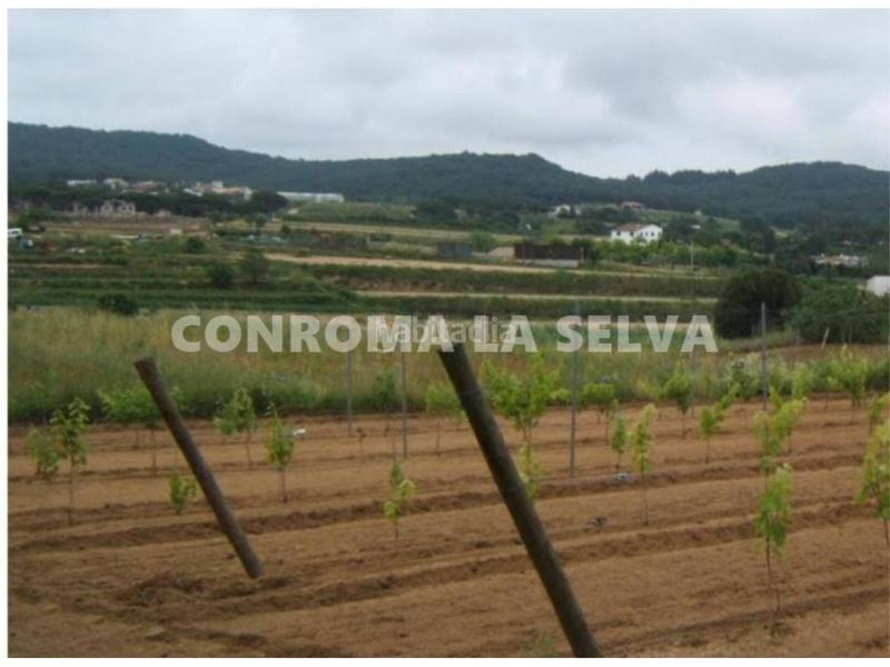 15317m² Land in Barcelona, Spain No. 274497