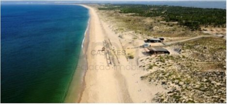 Grundstück in Sao Cristovao, Portugal 5000m², Nr. 91673