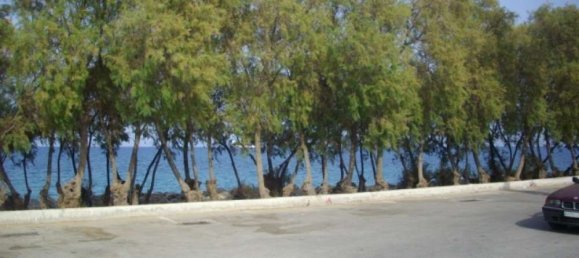 4 Schlafzimmer Property in Zakynthos, Greece, Nr. 657 4